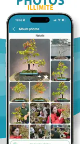 Appy Bonsai – Gestion et soins screenshot