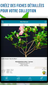 Appy Bonsai – Gestion et soins screenshot