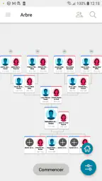 Arbre Familial de FamilySearch screenshot