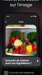 Chat AI: Demande à l'Agent screenshot