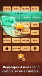 Associations - Colorwood Jeu screenshot
