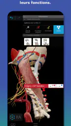 Atlas d'anatomie humaine 2026 screenshot