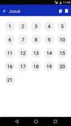 Bible Audio Français LSG 1910 screenshot