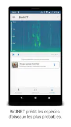 BirdNET screenshot
