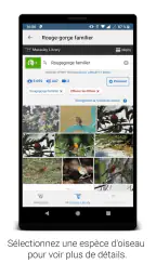 BirdNET screenshot