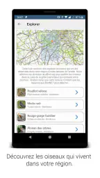BirdNET screenshot