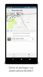 BirdNET screenshot