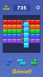 Block Blast! screenshot