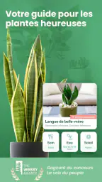 Blossom - Reconnaissez plantes screenshot