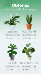 Blossom - Reconnaissez plantes screenshot
