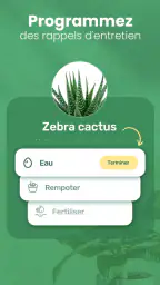 Blossom - Reconnaissez plantes screenshot