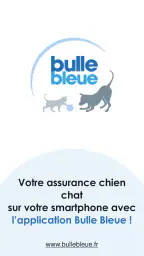 Bulle Bleue screenshot