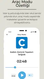 Çağlayan Dergisi screenshot