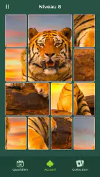 Cardscapes™ : Puzzle screenshot