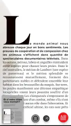 Cerveau & Psycho screenshot