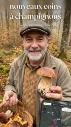 Champi · Carte Champignons screenshot