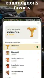 Champi · Carte Champignons screenshot