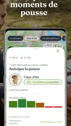 Champi · Carte Champignons screenshot