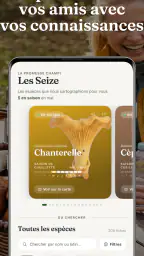 Champi · Carte Champignons screenshot