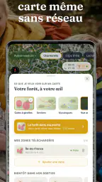 Champi · Carte Champignons screenshot