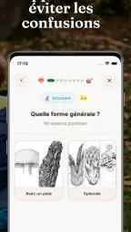 Champi · Carte Champignons screenshot