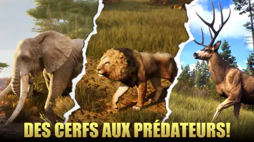 Chasseur - Sniper Sauvage screenshot