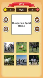 Chevaux - Quiz screenshot