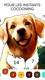 Coloriage cosy par numéro screenshot