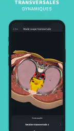 Complete Anatomy screenshot