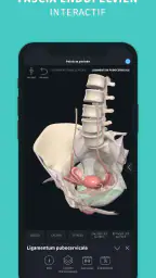 Complete Anatomy screenshot