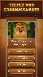 Défi Trivia : Trivia Blocks screenshot
