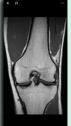 DICOM Viewer screenshot