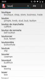 Dictionnaire Anglais-Français screenshot
