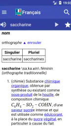 Dictionnaire Français screenshot