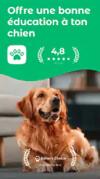 Dogo – Bien éduquer ton chien screenshot