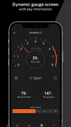 eFlexApp screenshot