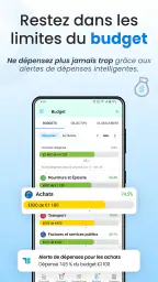 Factures, budget et dépenses screenshot