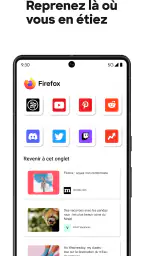 Firefox : Navigateur privé screenshot