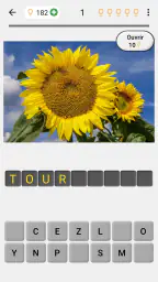 Fleurs: Identifier les plantes screenshot