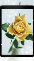 Fond d'écran horloge roses screenshot