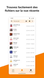 Gestion de fichiers simple Pro screenshot