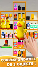 Goods Master 3D: Rangement screenshot
