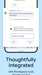 Google Chat screenshot