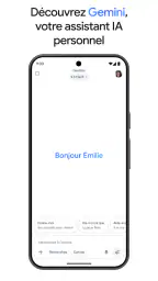 Google Gemini screenshot