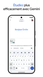 Google Gemini screenshot