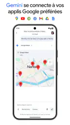 Google Gemini screenshot