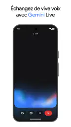 Google Gemini screenshot