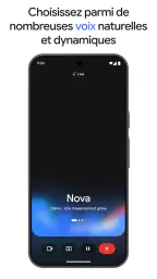 Google Gemini screenshot