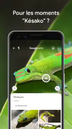 Google Lens screenshot