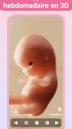 Grossesse + | Appli de Suivi screenshot
